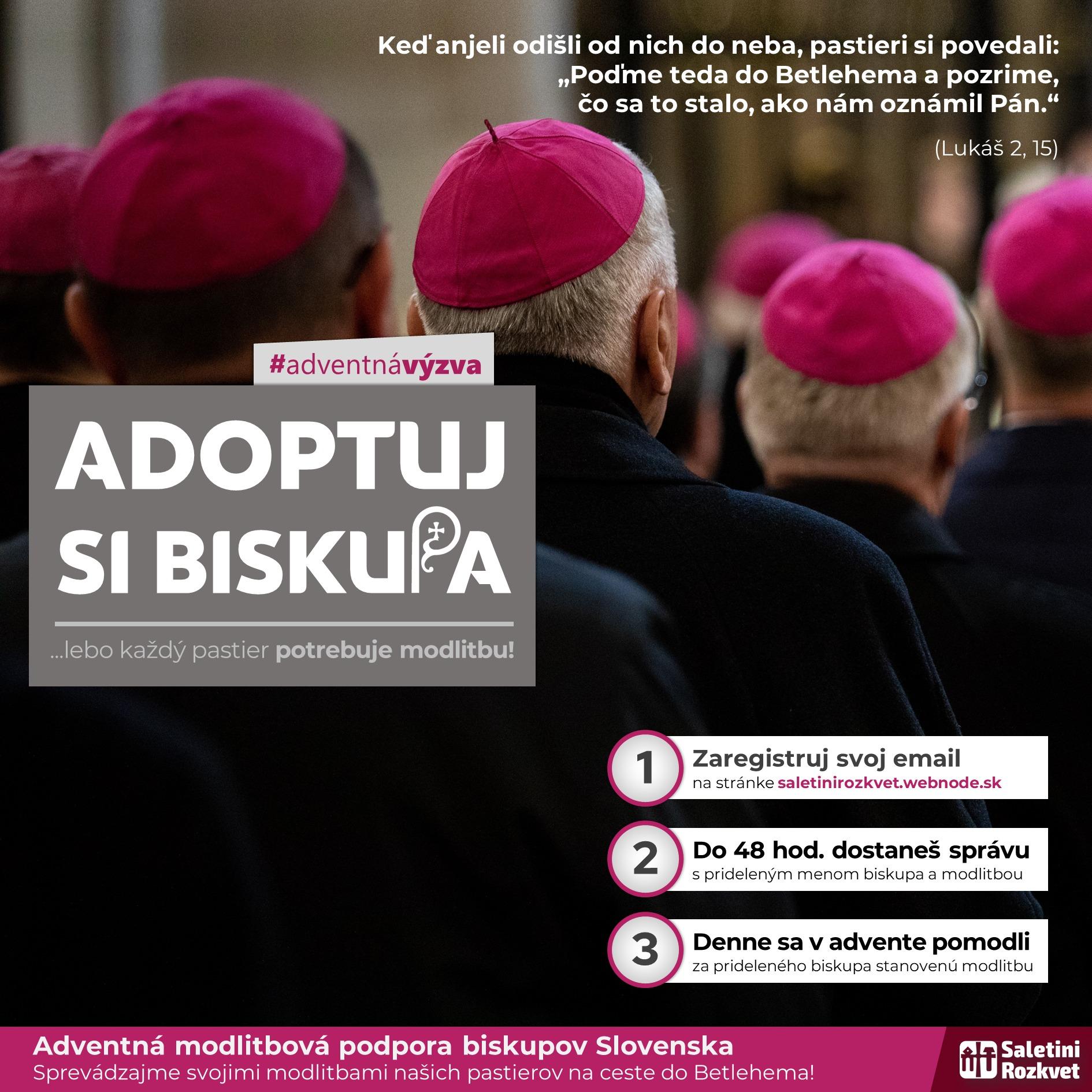 Adoptuj si biskupa, plagat