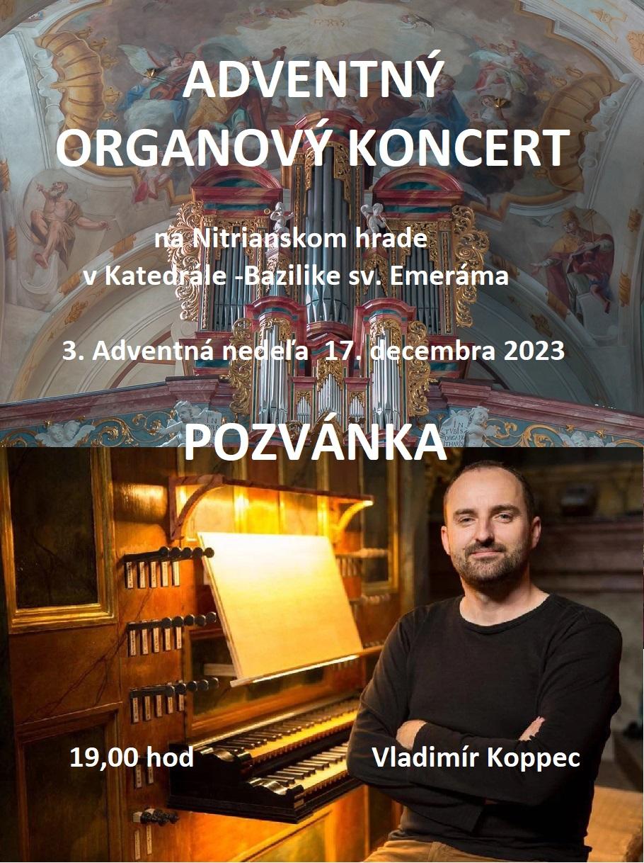 Nitra, koncert, plagat