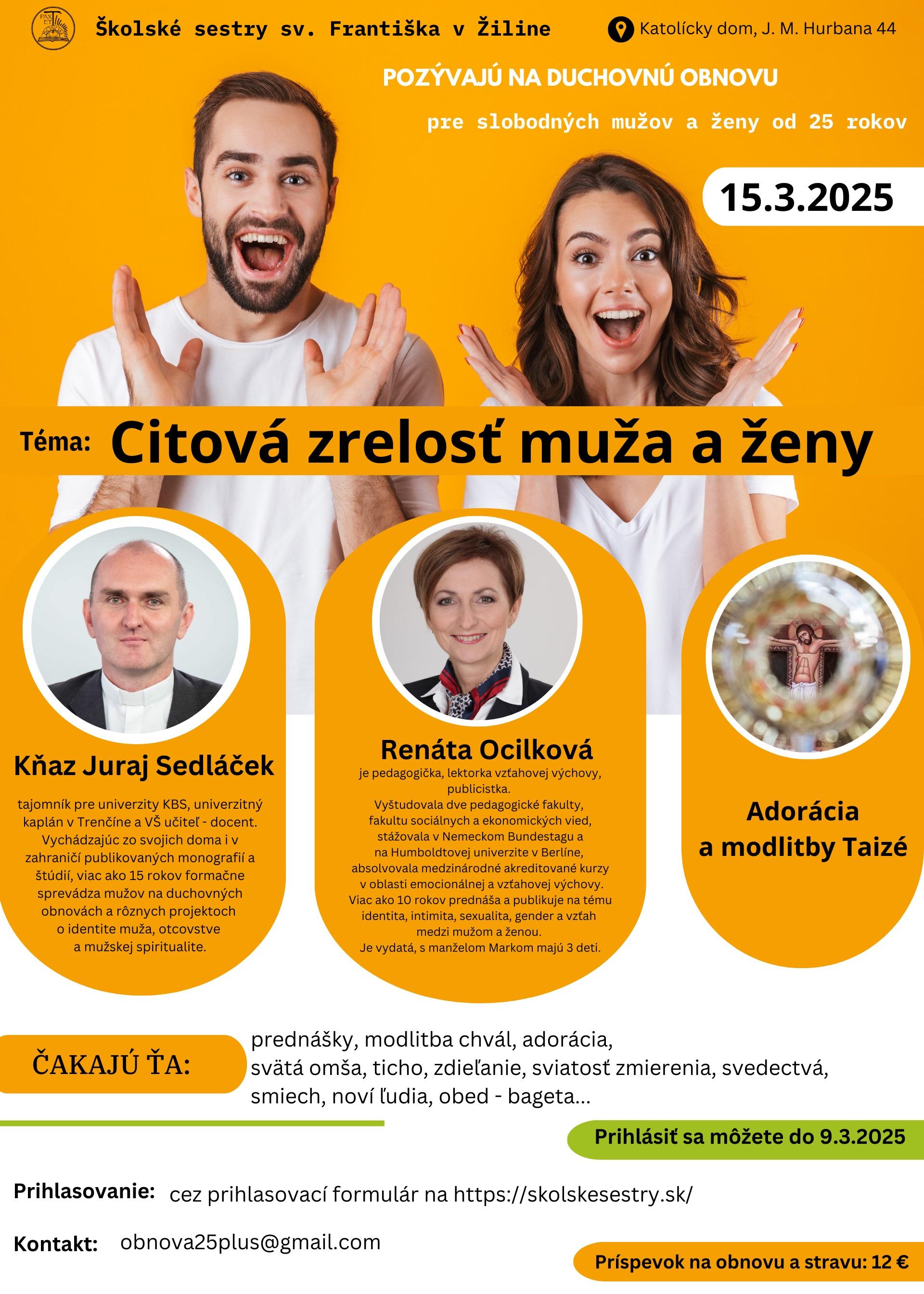 ilina, obnova, plagat