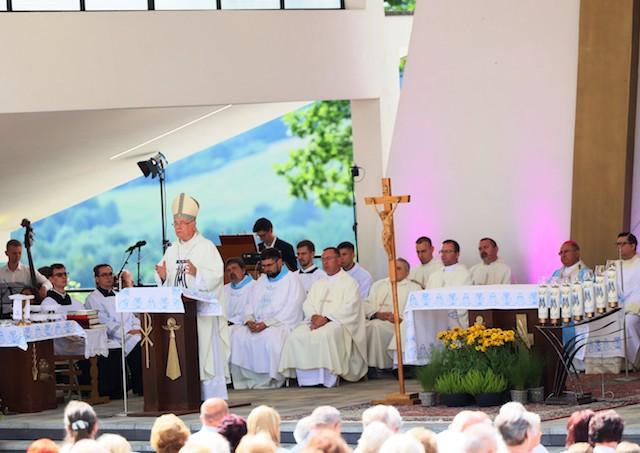 Gaboltov, put, biskup, Galis