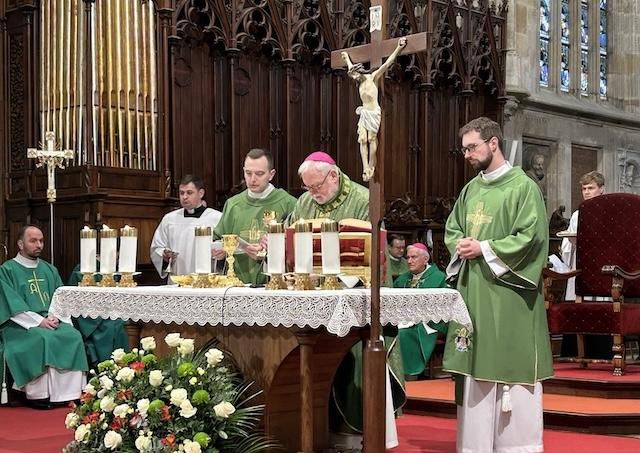 Bratislava, Gallagher, katedrala